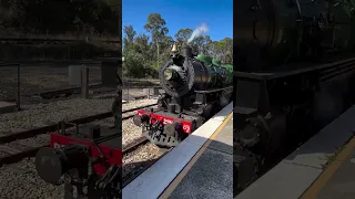 Steam Locomotive AC16 218A | Zig Zag Railway - February 9th, 2024
