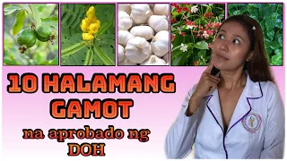 10 HERBAL PLANTS approved by DOH TAGALOG | 10 HALAMANG GAMOT NA APROBADO NG DOH |  Simply Shevy