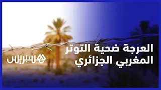 واحة العرْجة .. جراحُ أرض تكتوي بنار الخذلان الجزائري والصّمت المغربي