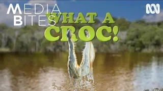 What a croc! | Media Bites