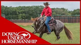 Clinton Anderson: How to Handle a Fresh Horse - Downunder Horsemanship