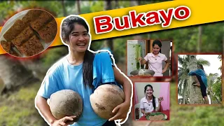 SARAP NG BUKAYO | HALA SIGE ! AKYAT HAHA | Ka-Mangyan Vlogs