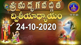 శ్రీమద్భగవద్గీత | SRIMADBHAGAVADGITA | TIRUMALA | 24-10-2020 | SVBC TTD