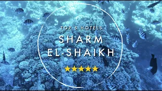 TOP 5 Sharm El Sheikh Hotels