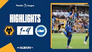 PL Highlights: Wolves 1 Brighton 4