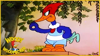 Woody Woodpecker | Wacky Bye Baby | Old Cartoon | Woody Woodpecker Full Episodes