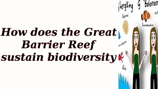 How does the Great Barrier Reef sustain biodiversity?
