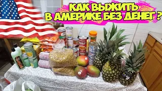 КАК ВЫЖИТЬ В АМЕРИКЕ БЕЗ ДЕНЕГ ? БЕСПЛАТНАЯ ЕДА В АМЕРИКЕ / Food Bank в Чикаго