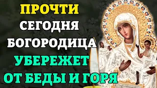 Сегодня ПРОЧТИ молитву БОГОРОДИЦЕ Нечаянная Радость. Молитва Богородице убережет от беды и горя!