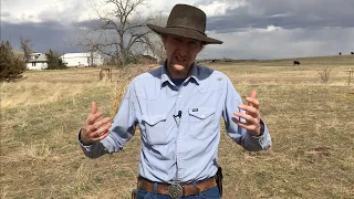 This IS a better way to feed hay -- Bale Grazing --