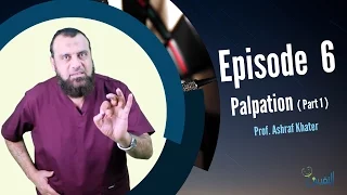 Palpation - part 1 - Surgery