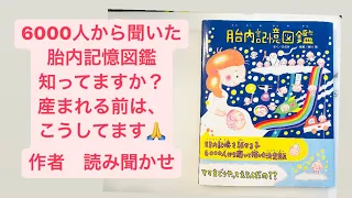 絵本　胎内記憶図鑑　作者読み聞かせ