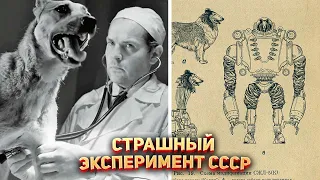 🔬 Невероятный эксперимент СССР