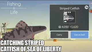 Fishing Life #10 Catching Striped Catfish of Sea of Liberty