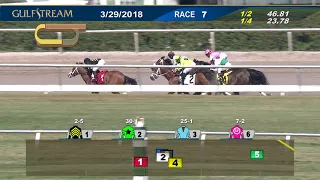 Gulfstream Park Carrera 7 - 29 de Marzo 2018