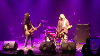 The Buzz Lovers - The Best Tribute To Nirvana Live In León