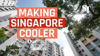 Making Singapore a cooler city | Our Better Nature EP3