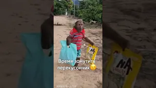 #tiktok #fypシ゚ #monkey #брад #обезьяна #монке #рофл #бибизяны #brad #монки #бибизян #shorts #шортс