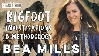 Bigfoot Investigations & Methodology | Bea Mills