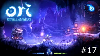 ПРЕДЕЛЫ БАУРА ► Ori and the Will of the Wisps ► #17