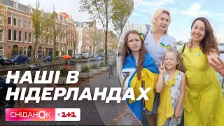 Наші в Нідерландах: як українці допомагають вдосконалювати законодавство в європейській країні