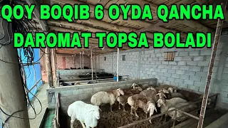 OZIMNI QOYLARIMNI QANDAY BOQYAPMAN KORING 2022-25DEKABIR