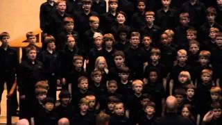 Stand Together.   Minnesota Boychoir