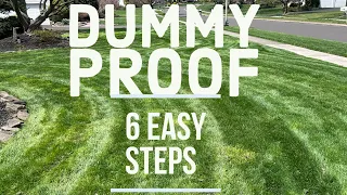 Dummy Proof Lawn care - 6 step process anyone can do - SIMPLE