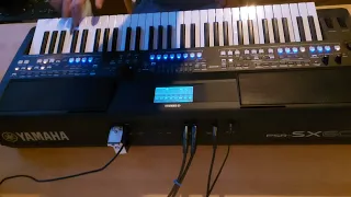 YAMAHA PSR SX600 STYLE AUDIO Eiffel 65 - Blue (Da Ba Dee)