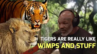 #1805 - Mike Tyson: Tiger vs Lion | Joe Rogan Podcast #lion #lions #tiger #tigers #joerogan