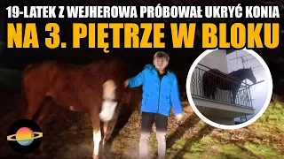 10 najciekawszych newsów tygodnia (26/02/2024)