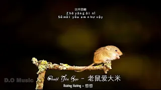 [Pinyin/Vietsub] Chuột Yêu Gạo - Hương Hương | 老鼠爱大米 - 想想