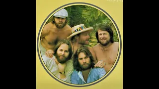 Beach Boys  - "Belles of Paris"  1978