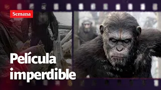 Estreno cine: el PLANETA DE LOS SIMIOS nuevo reino llegó a Colombia