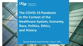 The Covid Pandemic: Interface with the Healthcare System, the Economy, Race, Politics, and History