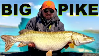 BEST 5 Pike fly fishing tips for beginners