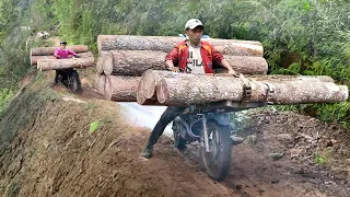How They Move Tons of Wood With Extreme Off Road Bikes