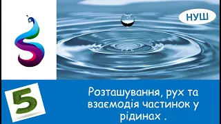 Розташування, рух та взаємодія частинок у рідинах .