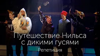 "Путешествие Нильса с дикими гусями": авторы о создании спектакля в Московском театре кукол