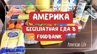 Почему нельзя в Америке умереть от голода? #эмиграциявсша #переездвамерику #сакраменто #изроссиивсша