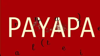 PAYAPA|| Andrea Brillantes (w/lyrics)