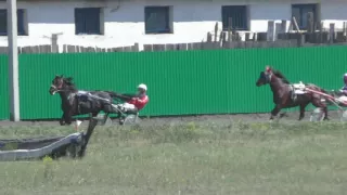 Бега-Заезд старший возраст. Абаканский ипподром 4.06.16 КОНВОЙ ЧИП, МАХАГОНИ, ВЕТРОГОН