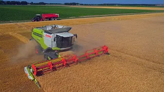 Harvest 2018 | Wheat, barley, grass seed | Claas & New Holland combines
