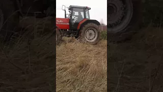Трактор рвав дерево прикол дивитися всім