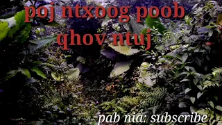 Poj ntxoog poob qhov ntuj 22/12/2018