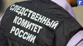 В Подмосковье задержали вожатую, подозреваемую в убийстве коллеги