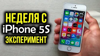 Неделя с iPhone 5S - Эксперимент! Можно ли нормально пользоваться в 2019 году?