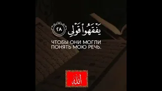 АЛЛАХ Азан Умма КУРАН Сунна рамадан ислам