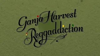 Heart of Gold - Reggaddiction (Neil Young Reggae Cover)