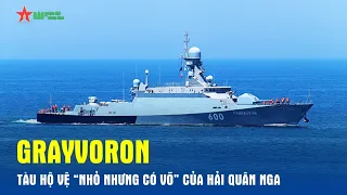 Grayvoron - Tàu hộ vệ “nhỏ nhưng có võ” của Hải quân Nga - Báo QĐND